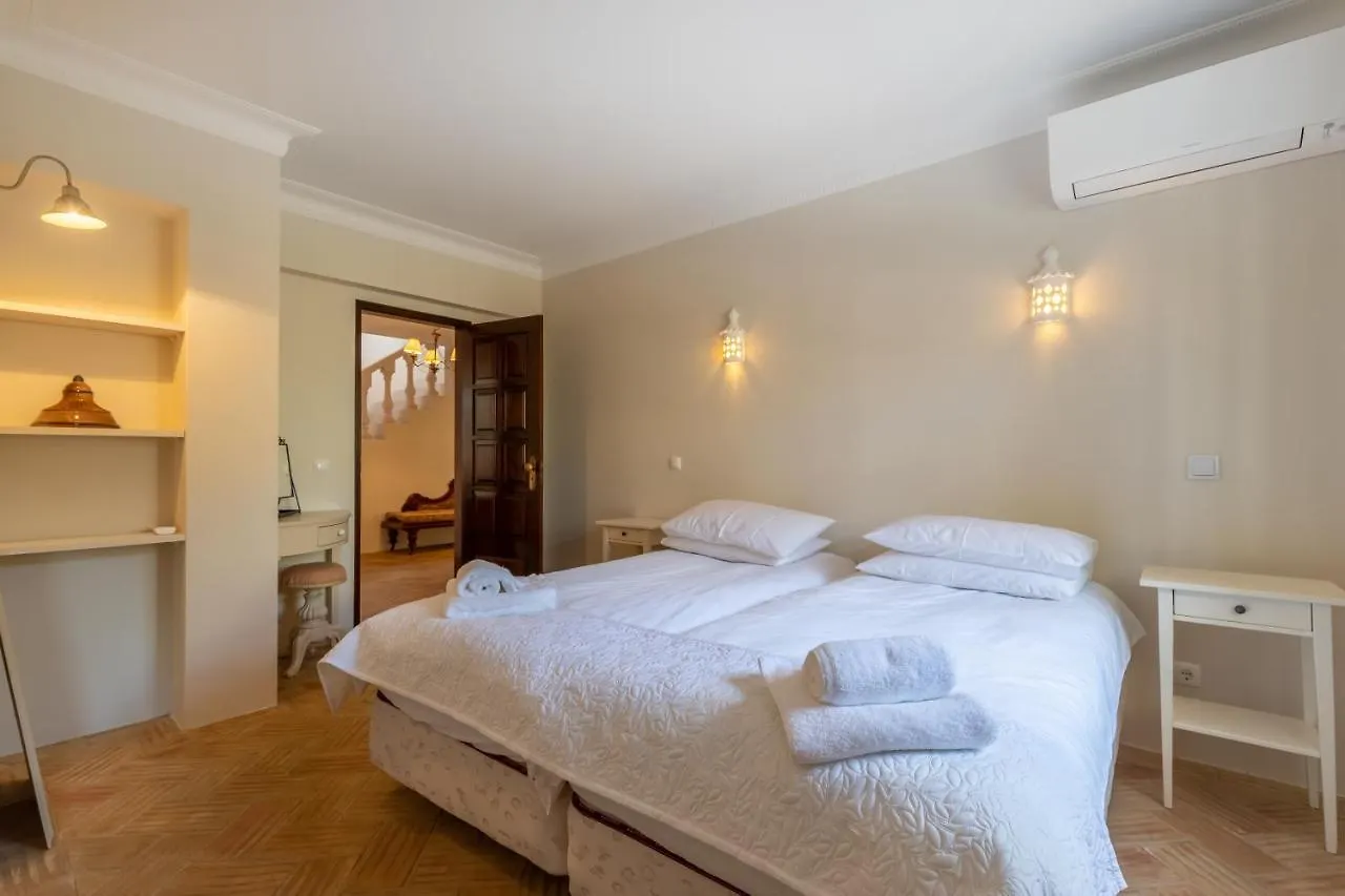 Vila Casa Sapo Gordo Luz